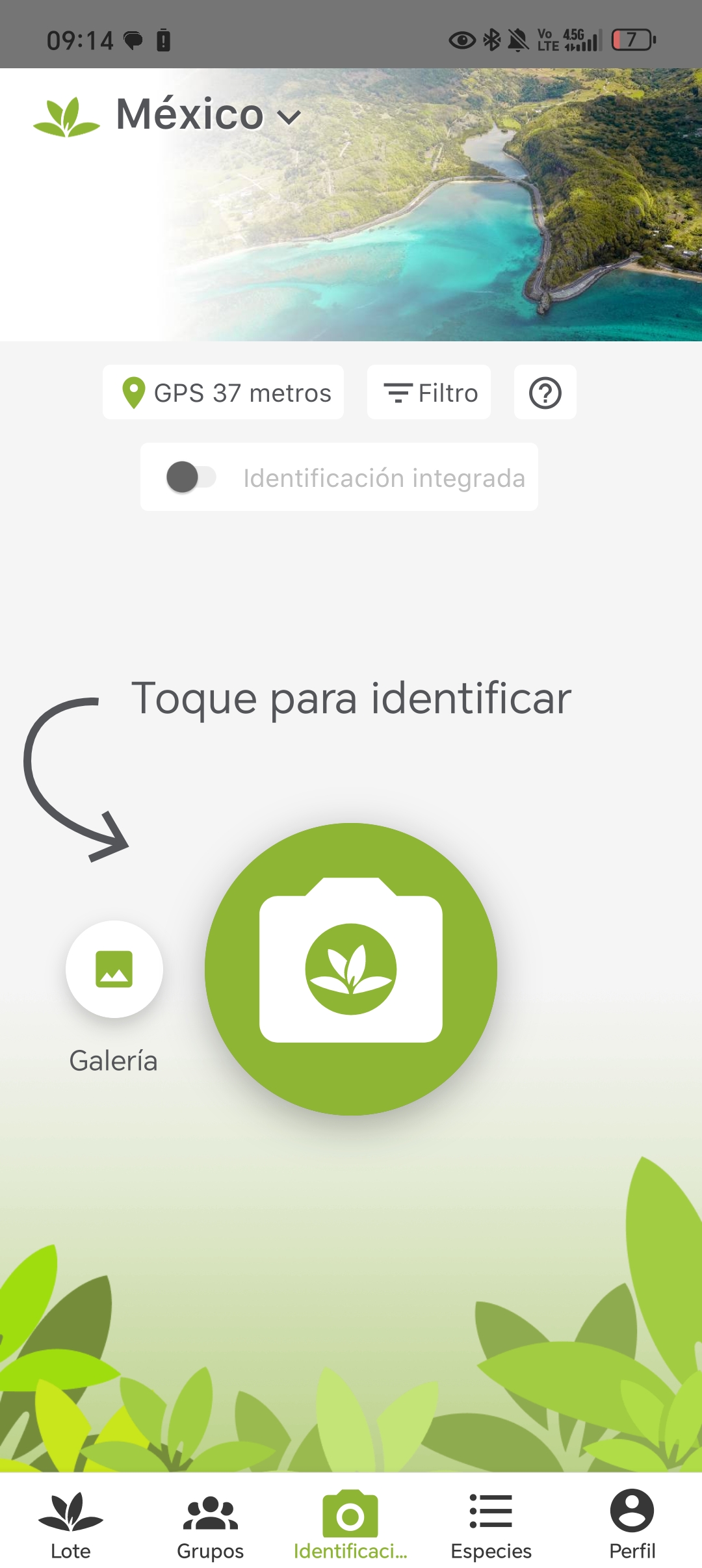 Textura de corteza de árbol